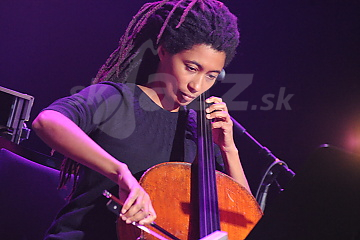 Tomeka Reid © Patrick Španko