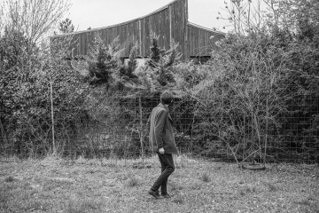 Treetop © Dušan Tománek