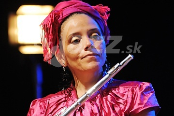 Nicole Mitchell © Patrick Španko