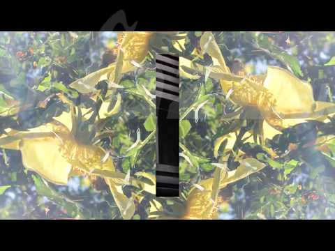 Švédsko - Otis Sandsjö !!!