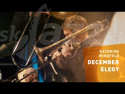 Dánsko - Kathrine Windfeld !!!