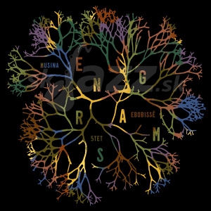 CD Musina Ebobissé Quintet – Engrams