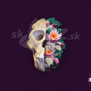 CD Verneri Pohjola – Monkey Mind