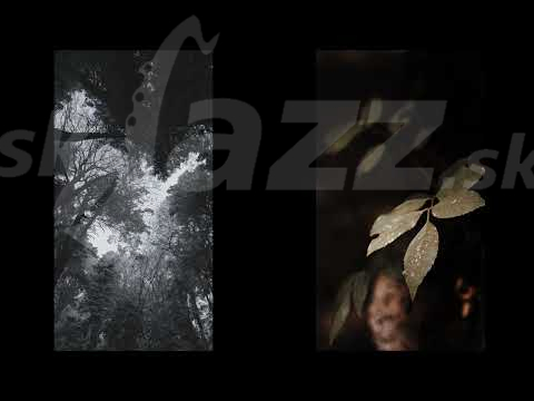 Belgicko - Chantal Acda and The Atlantic Drifters !!!