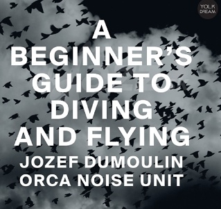 CD Jozef Dumoulin Orca Noise Unit - A Beginner\'s Guide to Diving and Flying