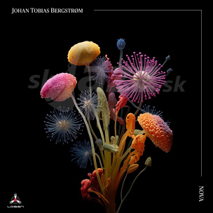 CD Johan Tobias Bergstrøm – Nova