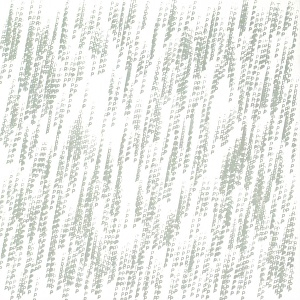 CD Pepa Päivinen Peacepipe - Vihmoo