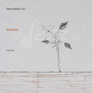 CD Søren Bebe Trio - Gratitude
