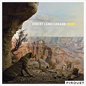 CD Robert Landfermann – Brief