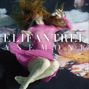 CD Elifantree – Anemone